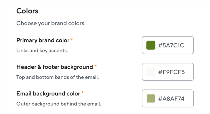 Colors section for program branding in POINT, showing primary brand color, header and footer background color, and email background color fields